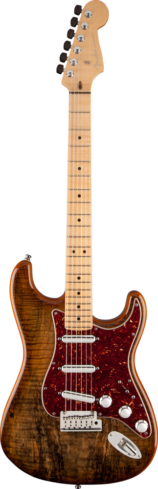 Spalted Maple Top Artisan Stratocaster