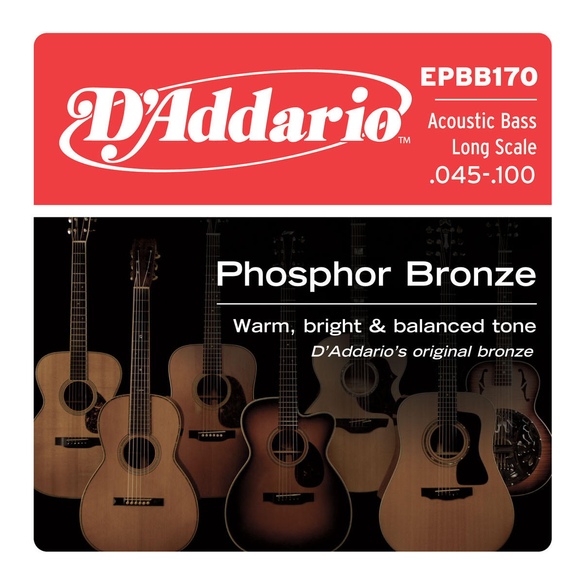 Acoustic Phosphor Bronze 45/100