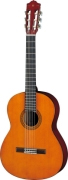 CGS102A - Guitare 1/2