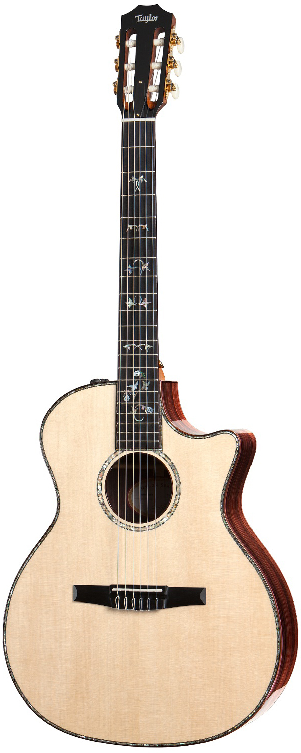 914ce-N Grand Auditorium Nylon