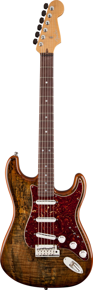 Spalted Maple Top Artisan Stratocaster