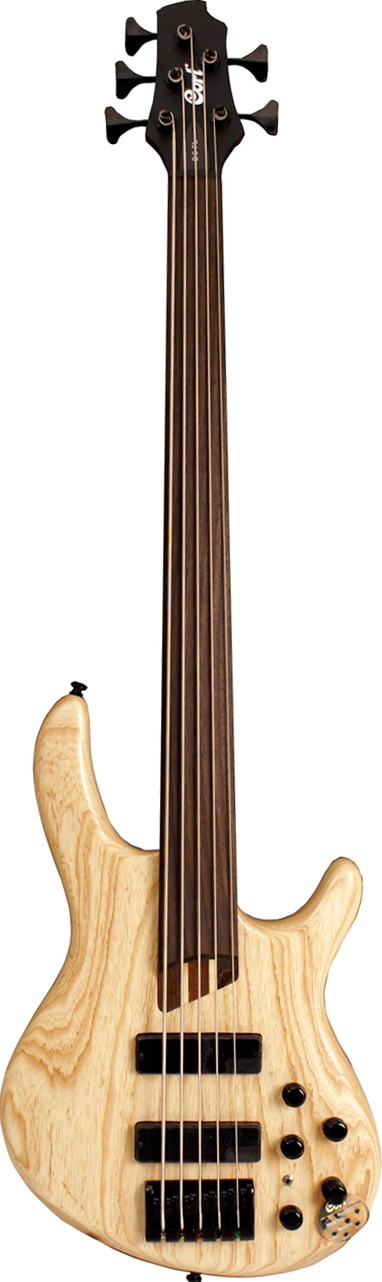 B5 Fretless